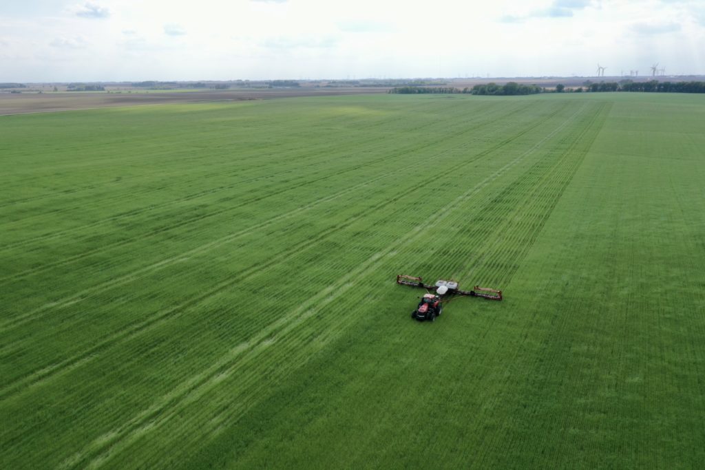 planting-in-cover-crops